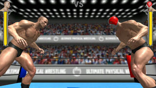 Скриншот 5 к игре Ultimate Physical Wrestling