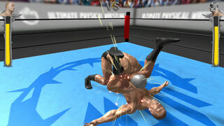Скриншот 7 к игре Ultimate Physical Wrestling