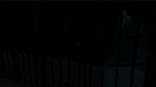 Скриншот 6 к игре Nightmare: Les Origines