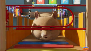 Hamster Playground