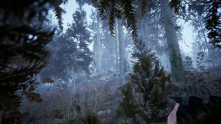 Скриншот 8 к игре Photography Simulator