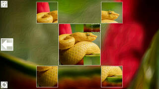 Puzzle Art: Snakes