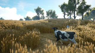 Скриншот 5 к игре Quiet Farm
