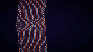 Скриншот 6 к игре Parametric Creature: Lab