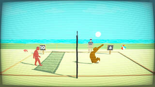 Retired Men's Nude Beach Volleyball League