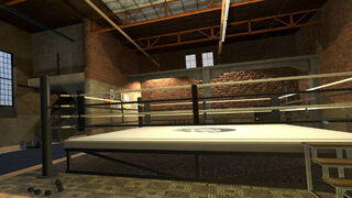 Скриншот 5 к игре Era of Combat: Boxing
