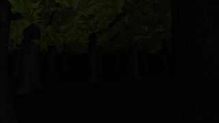 Скриншот 5 к игре Midnight at Forest