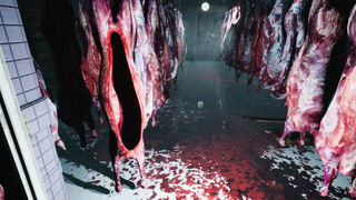 Скриншот 7 к игре Horror In Valkeala