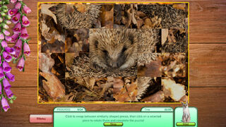 Скриншот 6 к игре I Love Finding Critters