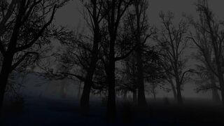 Скриншот 5 к игре Night Of Disturbance