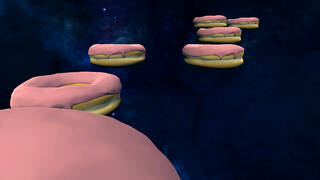 Donuts in Space