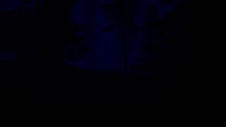 Скриншот 6 к игре Slender: The Eight Pages REMAKE