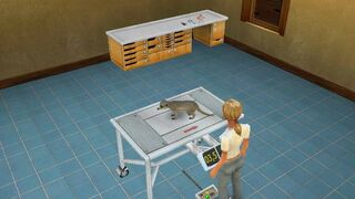 Скриншот 6 к игре Pet Vet 3D Wild Animal Hospital