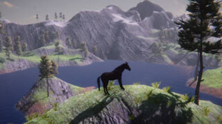 Скриншот 7 к игре Horse and Go Seek