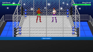 Скриншот 5 к игре Championship Wrestling Promoter