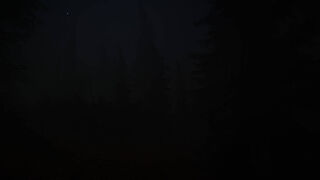 Taiga