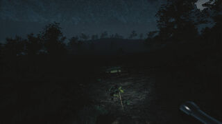 Скриншот 5 к игре Tales From Hoia Baciu Forest