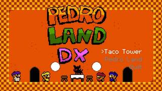 Pedro Land DX
