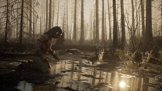 Скриншот 5 к игре Trail of Ayash: Prologue Demo