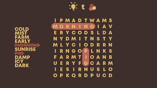 Скриншот 5 к игре WordSearch Story: Samuel's Adventure 1