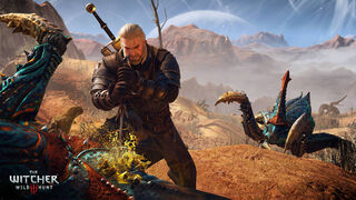The Witcher 3: Wild Hunt - Game of the Year Edition