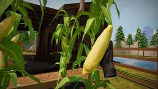 Скриншот 5 к игре Morels: Homestead