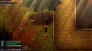 Скриншот 7 к игре Divine Legacy: Neo Amburia