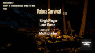 Valora Survival
