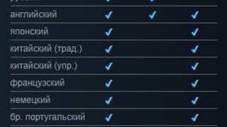 Undecember получит русскую озвучку, согласно странице в Steam