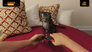 Скриншот 7 к игре Pets Hotel: Prologue