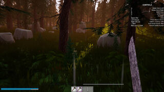 Скриншот 5 к игре The Woods