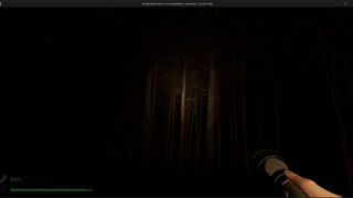 Скриншот 8 к игре Park Ranger: Lost In The Woods