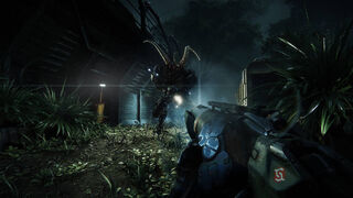 Скриншот 5 к игре Crysis 3 Remastered