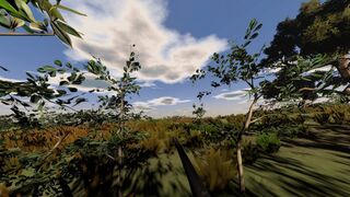 Скриншот 6 к игре Hunting Life VR: Dove Season