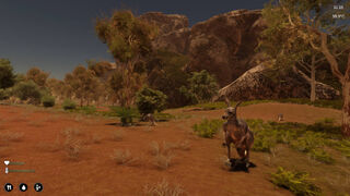 Скриншот 5 к игре Alone in the Outback