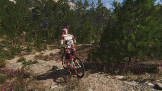 Скриншот 8 к игре Traildown: Downhill Mountain Biking