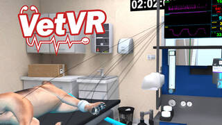 VetVR Veterinary Simulator
