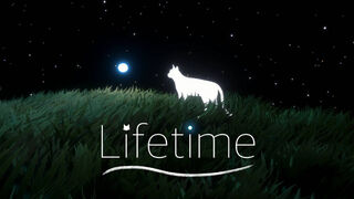 Скриншот 5 к игре Lifetime