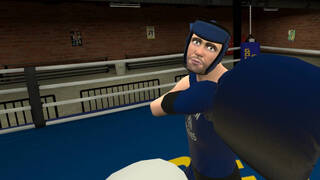 Golden Gloves VR