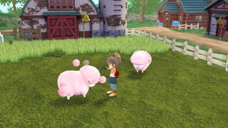 Скриншот 5 к игре STORY OF SEASONS: A Wonderful Life
