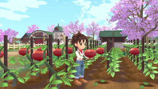 Скриншот 7 к игре STORY OF SEASONS: A Wonderful Life