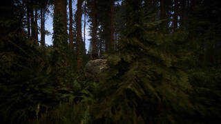 Эксклюзивное интервью с разработчиками Sons Of The Forest
