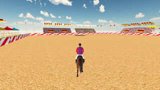 Скриншот 8 к игре Riding Horse School