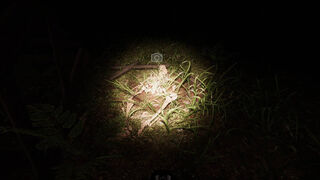 Скриншот 6 к игре The Hunted