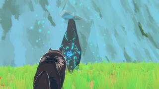 The Last Wish