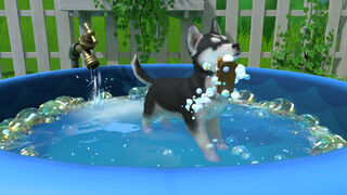 Скриншот 6 к игре Little Friends: Puppy Island