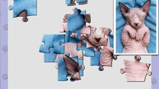 Скриншот 5 к игре 1001 Jigsaw. Cute Cats 5