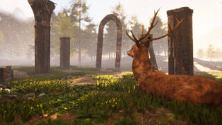 Скриншот 6 к игре AUF Battle Royale
