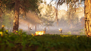 Скриншот 7 к игре AUF Battle Royale