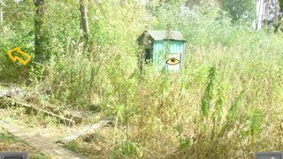 Скриншот 5 к игре August Walk